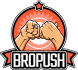 BroPush