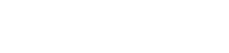 bigspy logo