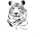 tigersms logo