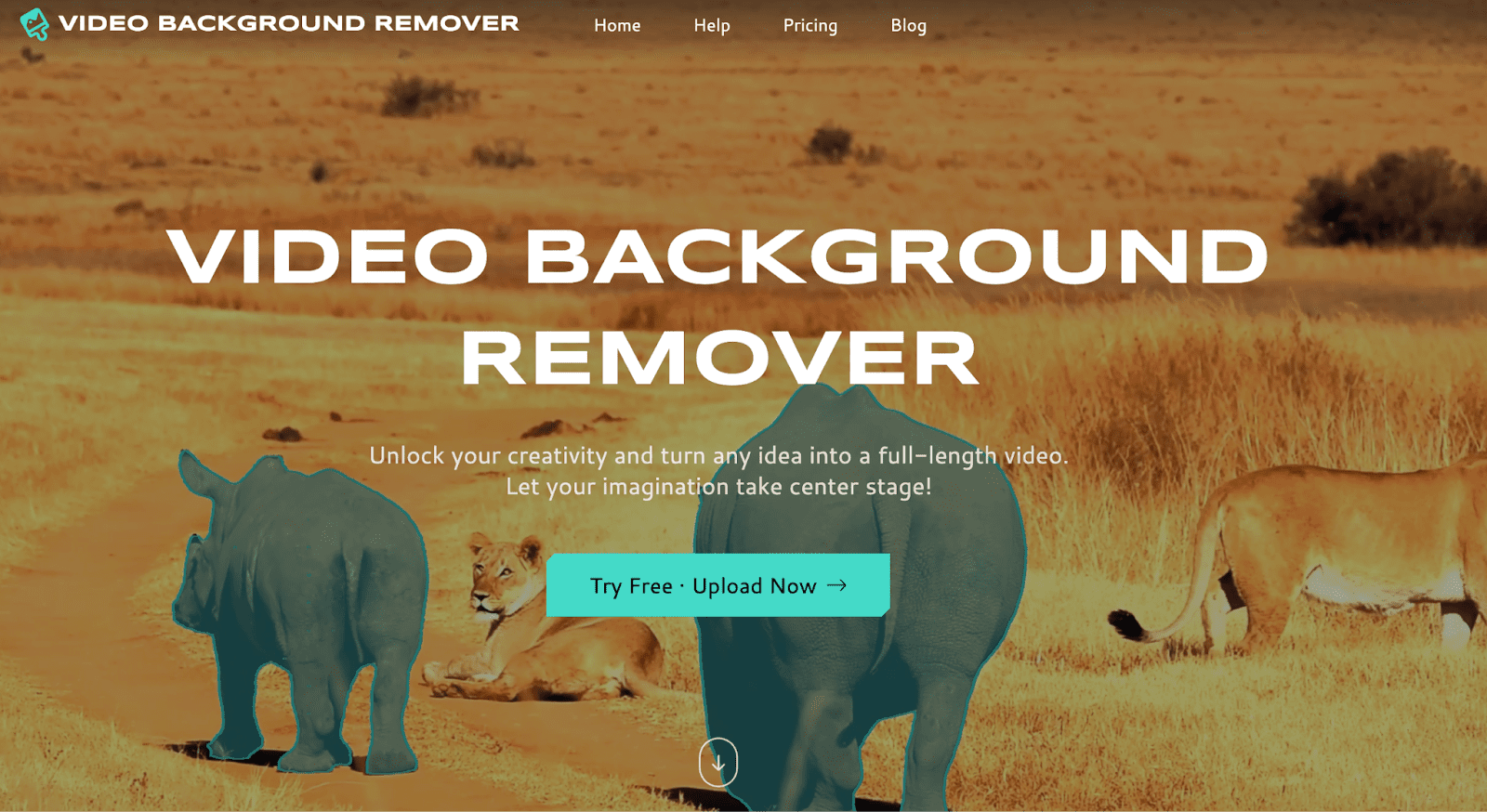 Video Background Remover