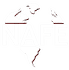 NafeProxys