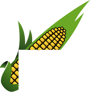 buymedia