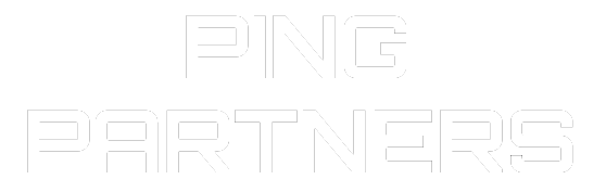 pingpartners logo