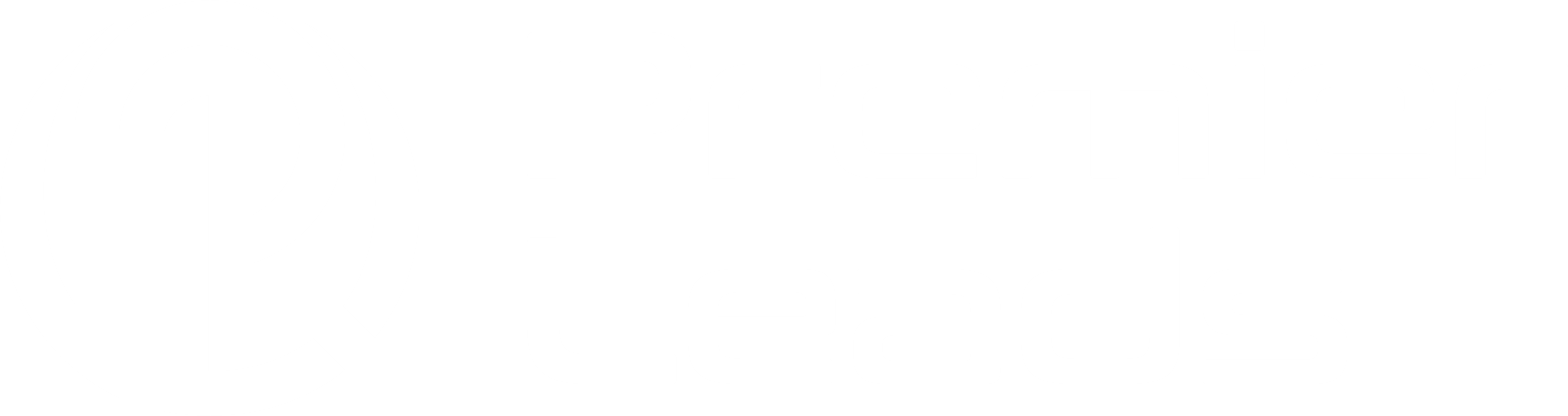 premier leads logo