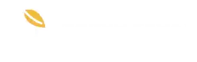 mangoproxy logo